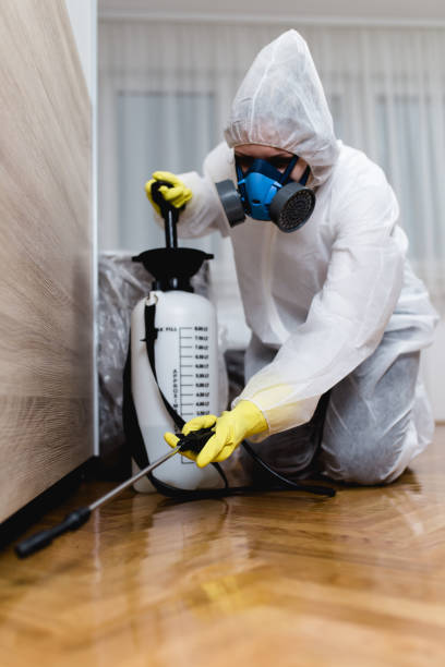 Best Fumigation Services  in Saranac, MI